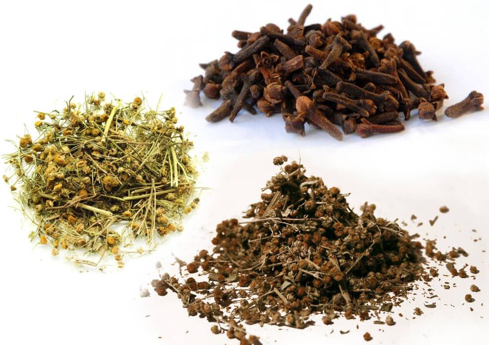 Ajenjo, tanaceto e cravo para desfacerse dos parasitos