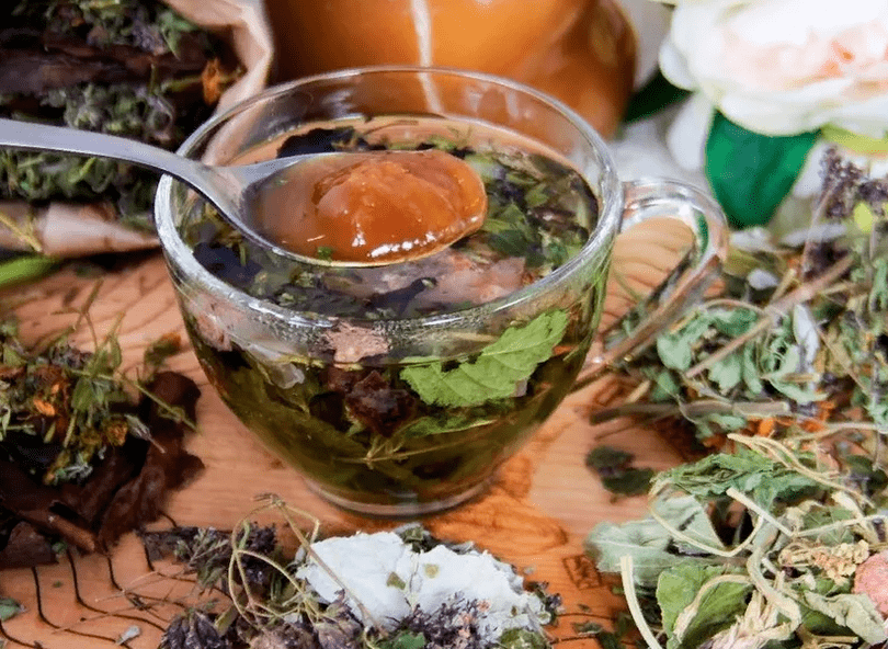 Decocción antiparasitaria a base de herbas medicinais