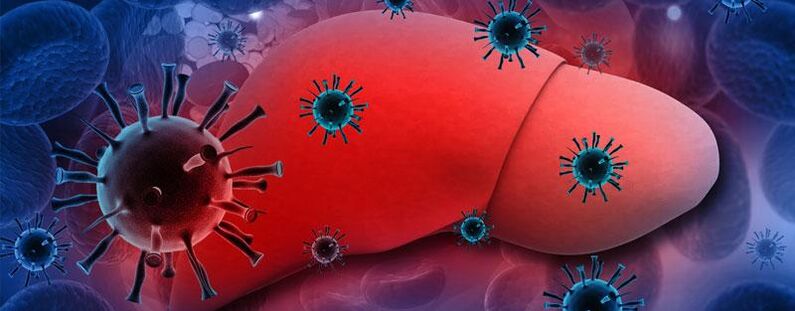 A presenza de parasitos no corpo leva á hepatite